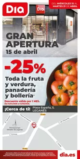 Catálogo Dia | Gran apertura Dia del 15/04 al 21/04 | 2026-04-15T00:00:00.000Z - 2026-04-21T00:00:00.000Z