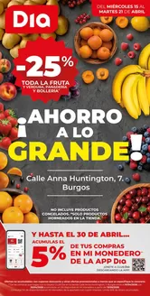 Catálogo Dia en Jaca | Ahorro a lo grande del 15/04 al 21/04 | 2026-04-15T00:00:00.000Z - 2026-04-21T00:00:00.000Z