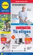Catálogo Lidl | ¡Bazar Lidl! Ofertas válidas del 13/04 al 19/04 | 2026-04-13T00:00:00.000Z - 2026-04-19T00:00:00.000Z